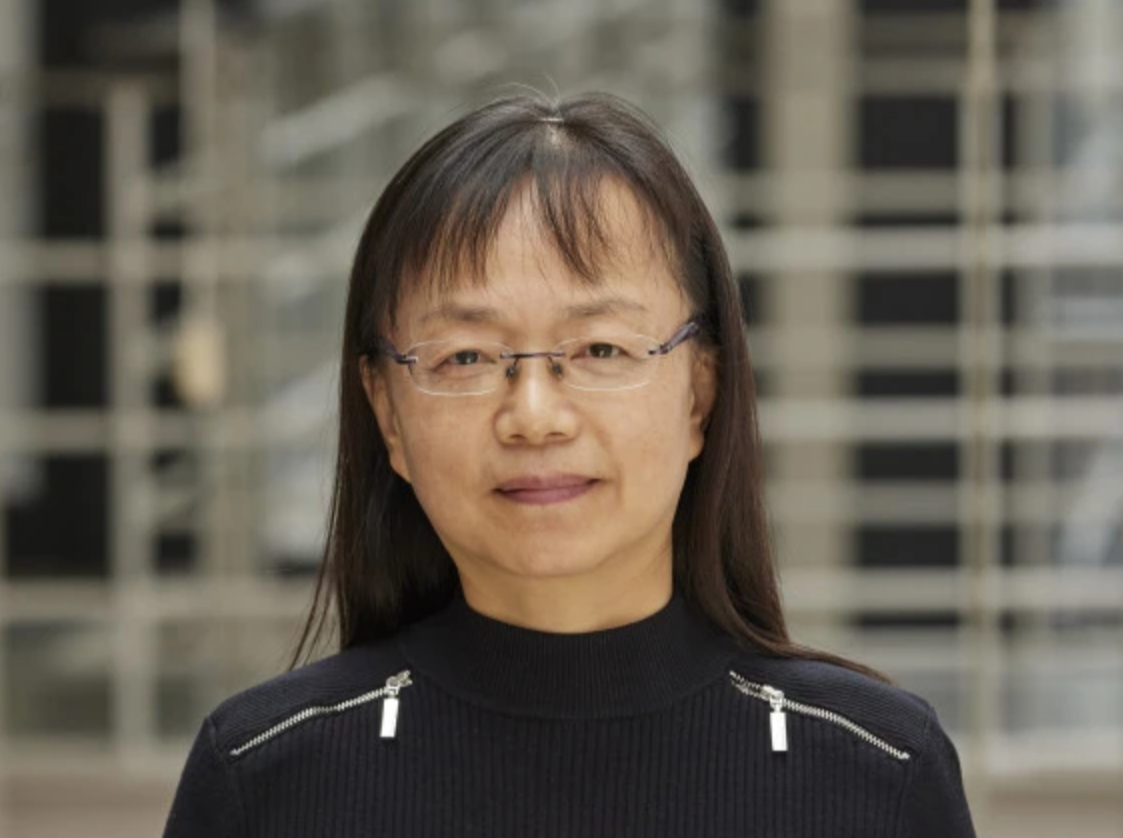 Professor Liangxiu Han